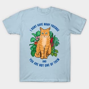 Not a Friendly Cat T-Shirt